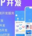 企業(yè)在開發(fā)APP應用之前必想的5個因素